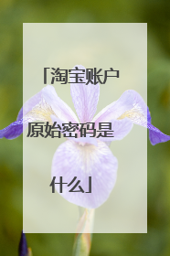 淘宝账户原始密码是什么