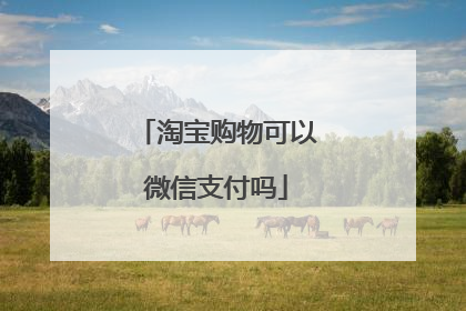 淘宝购物可以微信支付吗
