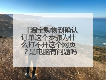 淘宝购物到确认订单这个步骤为什么打不开这个网页?是电脑有问题吗? 它显示下面的图片,谢谢朋友给解释下