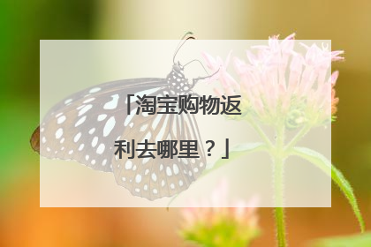 淘宝购物返利去哪里?