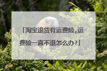 淘宝退货有运费险,运费险一直不退怎么办?