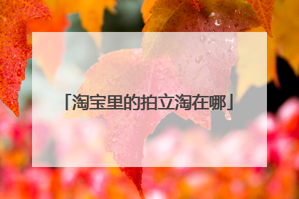 淘宝里的拍立淘在哪