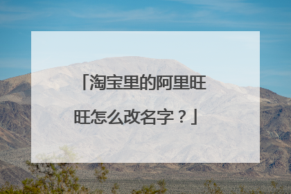 淘宝里的阿里旺旺怎么改名字?
