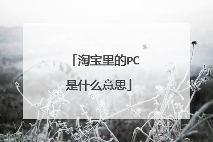 淘宝里的PC是什么意思