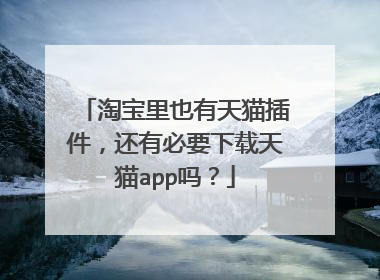 淘宝里也有天猫插件,还有必要下载天猫app吗?