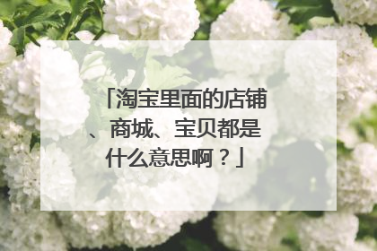 淘宝里面的店铺、商城、宝贝都是什么意思啊?