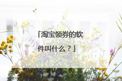 淘宝领券的软件叫什么？