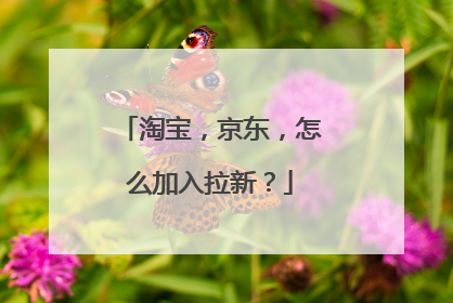 淘宝,京东,怎么加入拉新?