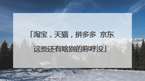 淘宝,天猫,拼多多 京东 这些还有啥别的称呼没