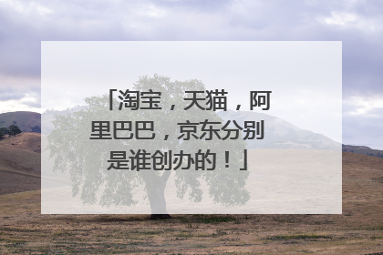 淘宝，天猫，阿里巴巴，京东分别是谁创办的！
