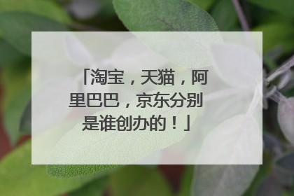 淘宝,天猫,阿里巴巴,京东分别是谁创办的!
