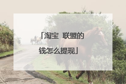 淘宝 联盟的钱怎么提现