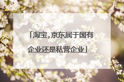 淘宝,京东属于国有企业还是私营企业