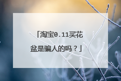 淘宝0.11买花盆是骗人的吗?