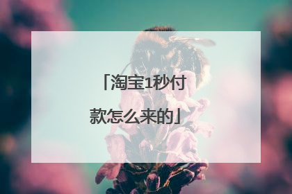 淘宝1秒付款怎么来的