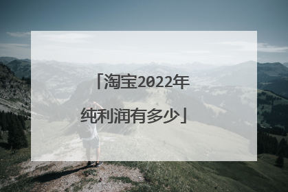 淘宝2022年纯利润有多少