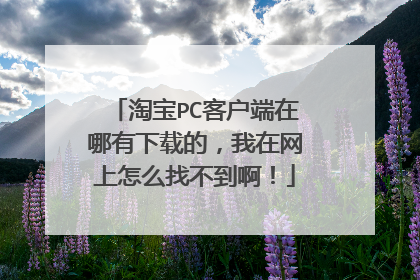 淘宝PC客户端在哪有下载的,我在网上怎么找不到啊!