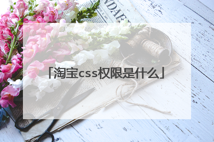 淘宝css权限是什么