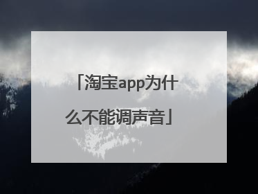 淘宝app为什么不能调声音