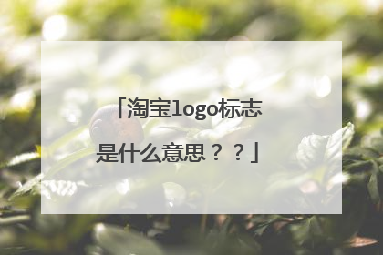 淘宝logo标志是什么意思??