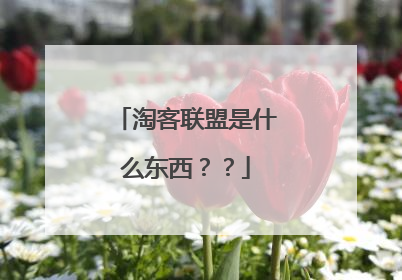 淘客联盟是什么东西？？