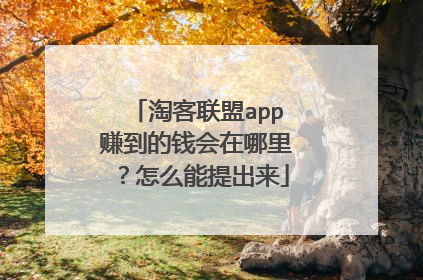 淘客联盟app赚到的钱会在哪里?怎么能提出来