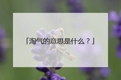 淘气的意思是什么?