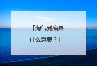 淘气到底是什么意思?