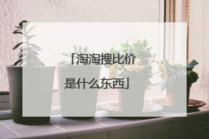 淘淘搜比价是什么东西