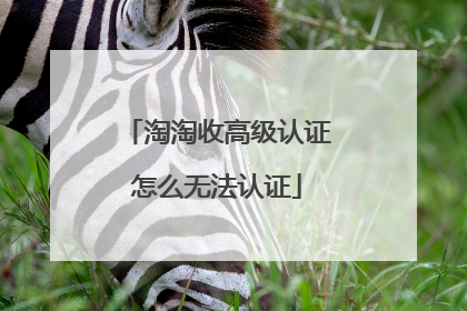 淘淘收高级认证怎么无法认证