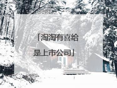 淘淘有喜给是上市公司
