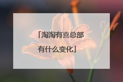淘淘有喜总部有什么变化