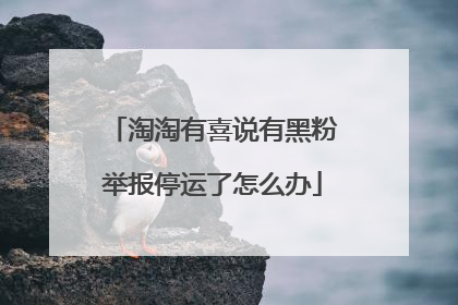 淘淘有喜说有黑粉举报停运了怎么办