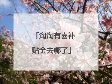 淘淘有喜补贴金去哪了
