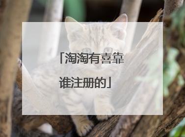 淘淘有喜靠谁注册的