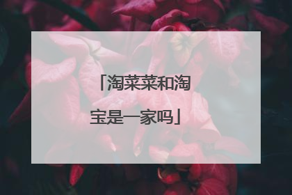 淘菜菜和淘宝是一家吗