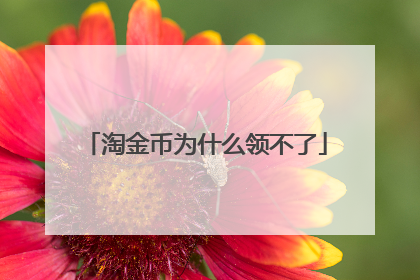 淘金币为什么领不了