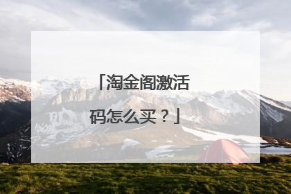 淘金阁激活码怎么买?