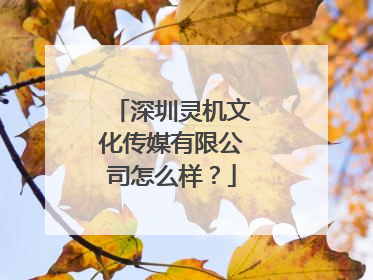 深圳灵机文化传媒有限公司怎么样?