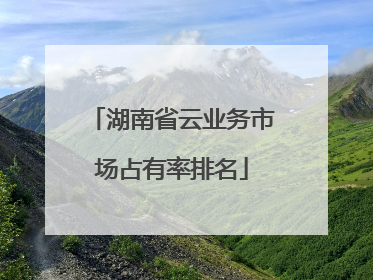 湖南省云业务市场占有率排名