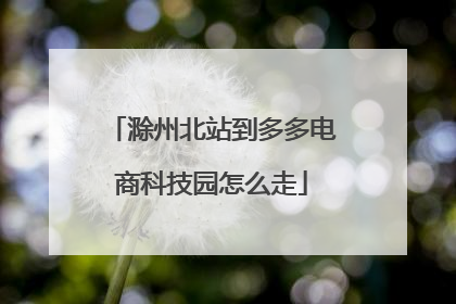 滁州北站到多多电商科技园怎么走