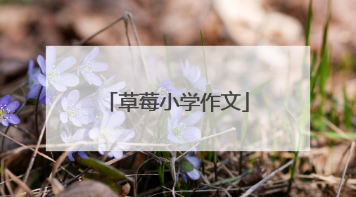 草莓小学作文
