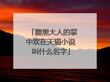 腹黑大人的掌中欢在天猫小说叫什么名字