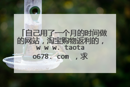 自己用了一个月的时间做的网站,淘宝购物返利的,w w w. taotao678. com ,求行内人员指点不足之处