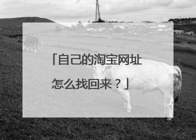 自己的淘宝网址怎么找回来？