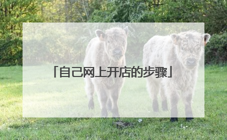 自己网上开店的步骤