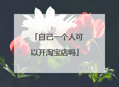 自己一个人可以开淘宝店吗