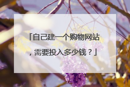 自己建一个购物网站，需要投入多少钱？