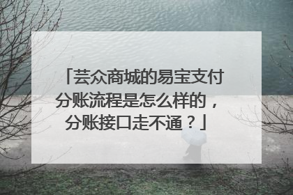 芸众商城的易宝支付分账流程是怎么样的,分账接口走不通?