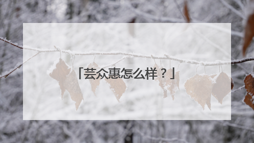 芸众惠怎么样?